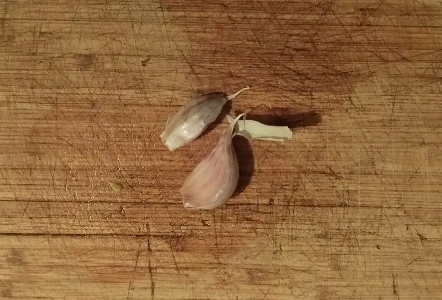 garlic