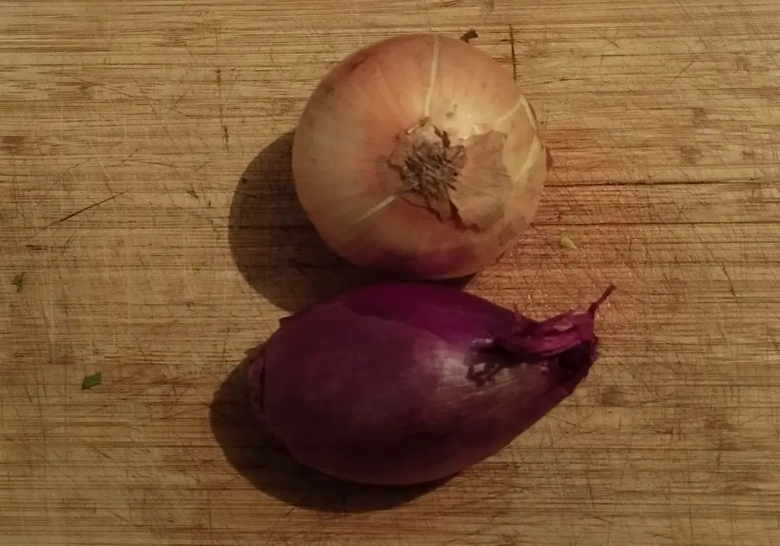 onions