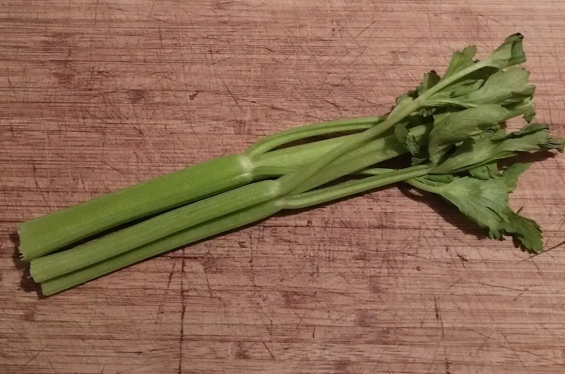 celery