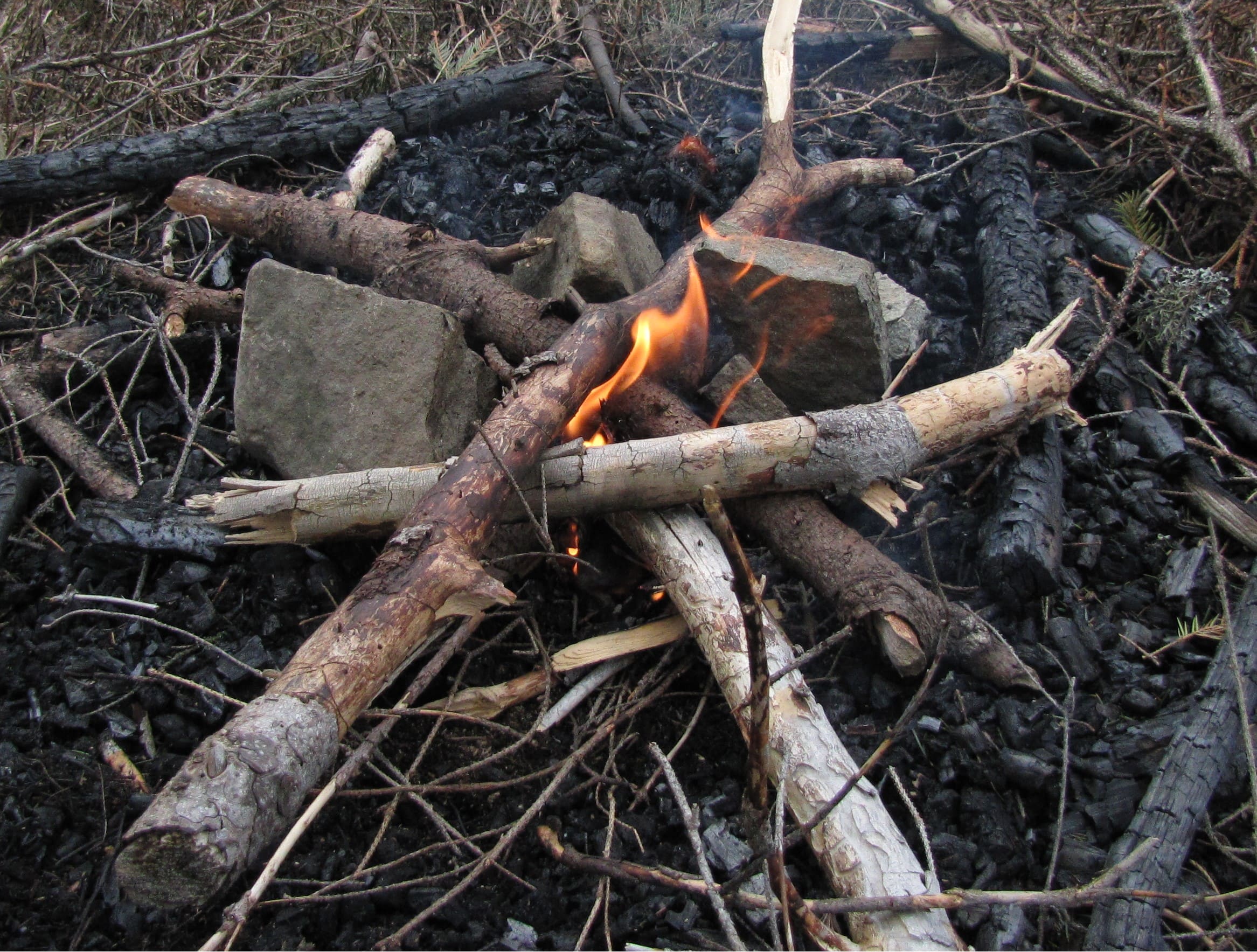 wood