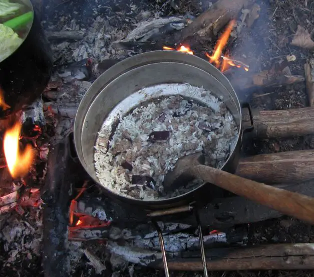 rice